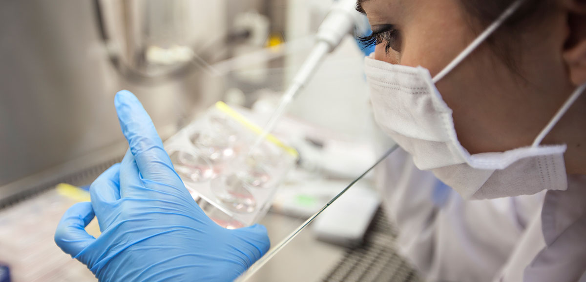 Tüp Bebek Cihazları