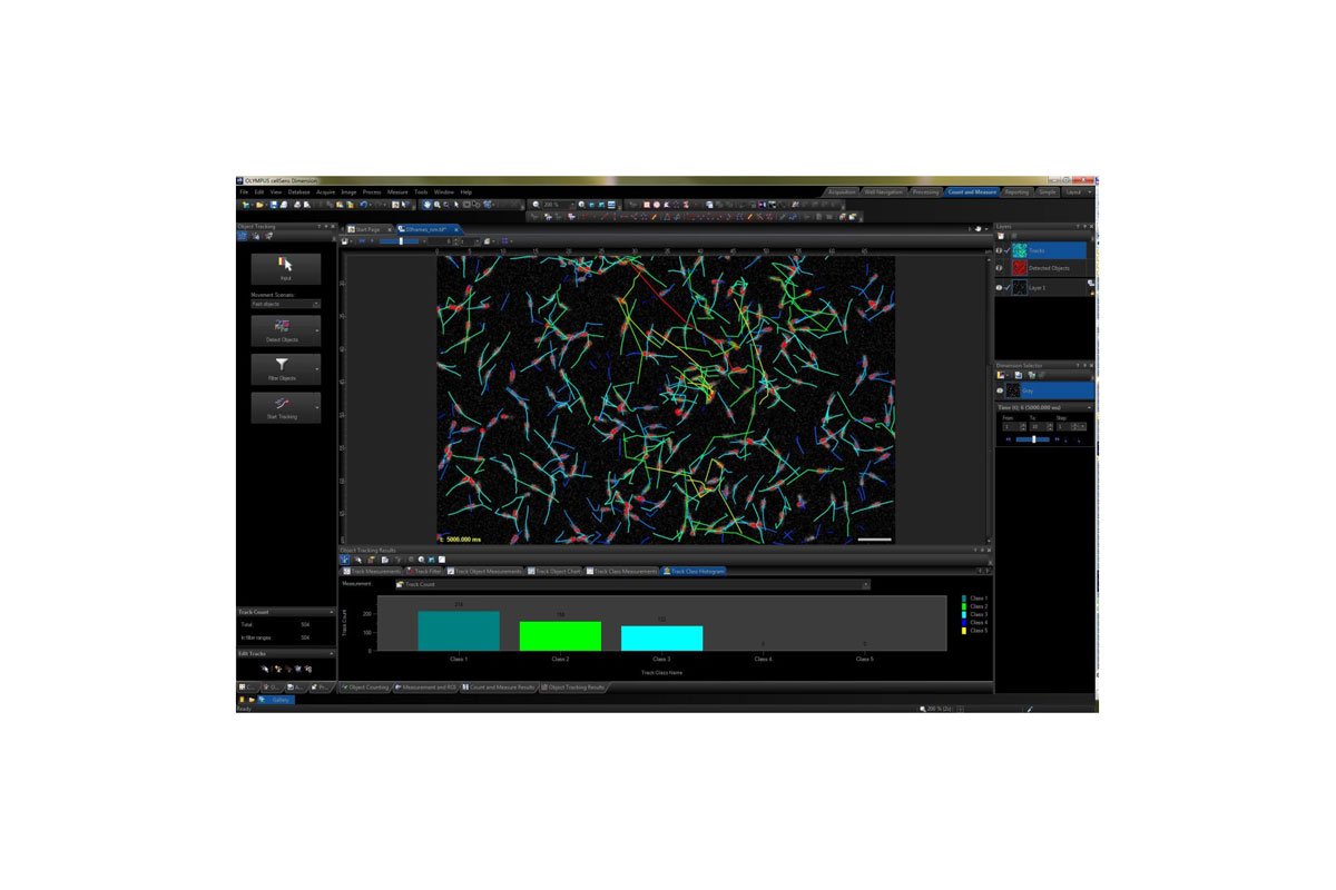 Görüntüleme Yazılımları