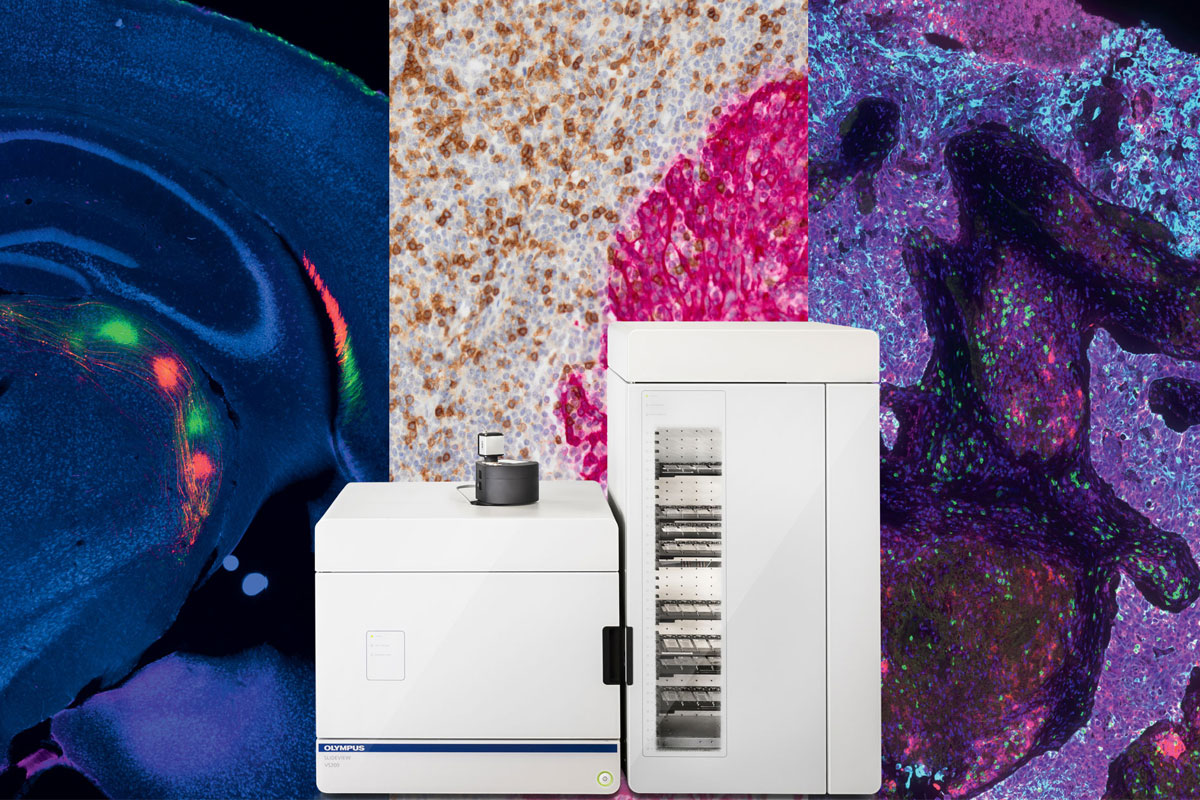 Özel Mikroskop Çözümleri